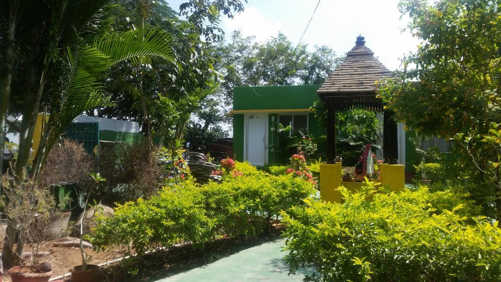 Sunshine Guest House India Tiruvannāmalai Extérieur photo